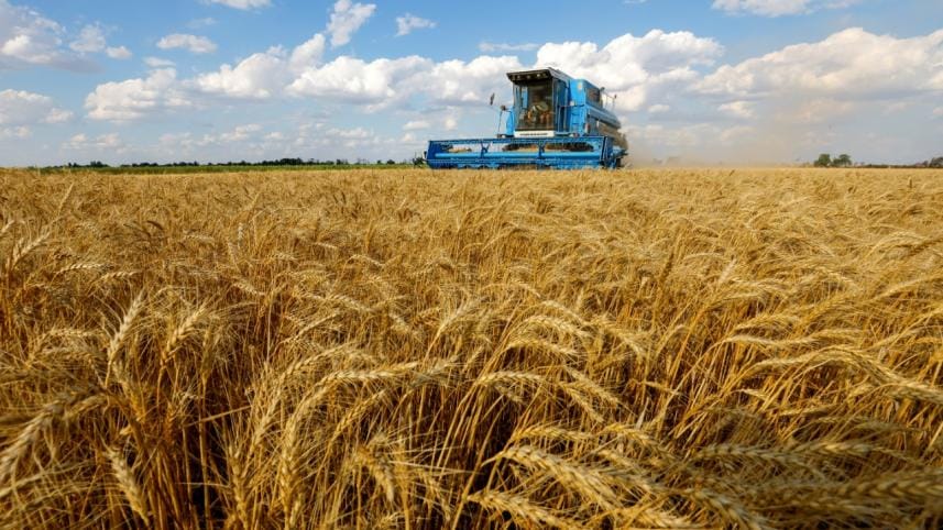 Russia wants to export wheat to Bangladesh