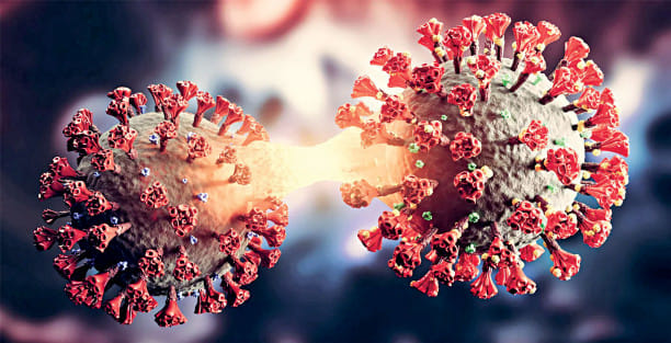 Another dies of Covid-19