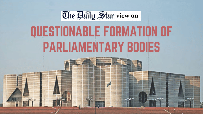 questionable formation of parliamentary committees