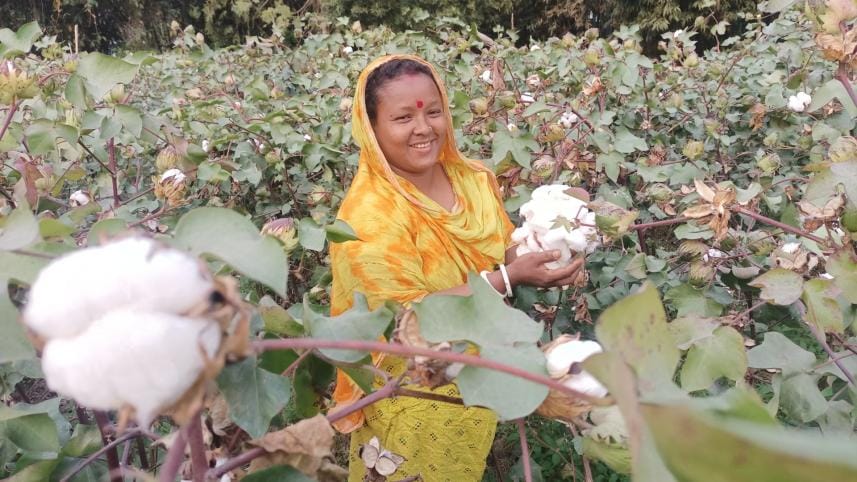 First-Time Govt Incentive for Cotton Growers