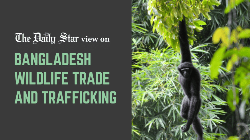 wildlife trafficking in bangladesh