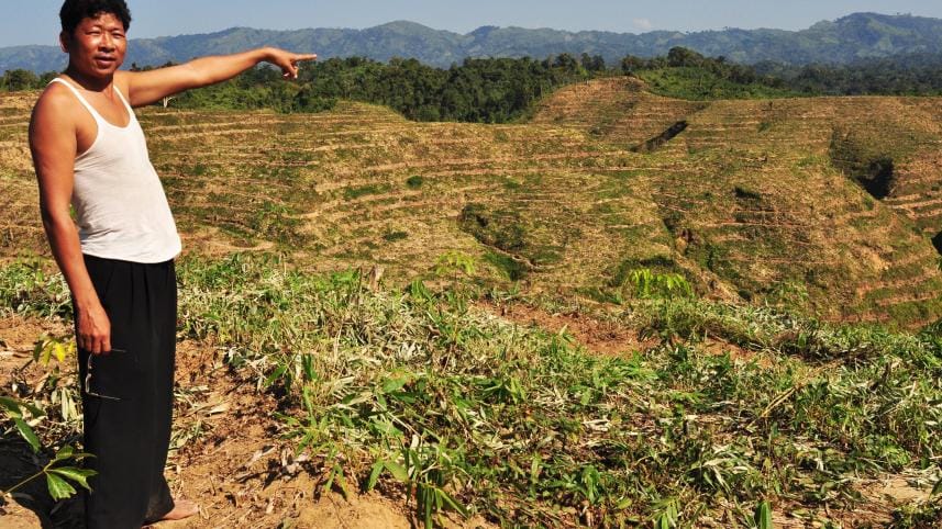 Hills in Bandarban terraced for rubber plantation