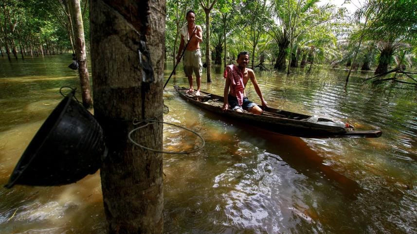 Asia-Pacific nations must work together to protect nature
