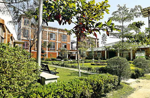 Green Factories Bangladesh: a global champion