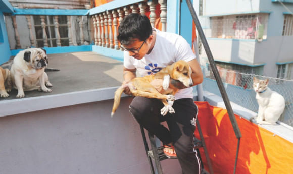 Bangladesh needs a formalised animal rescue system