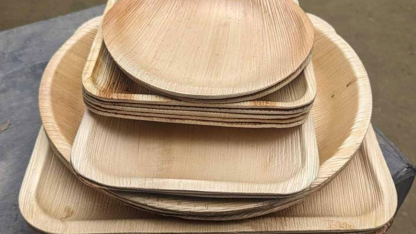 Areca Nut Leaves Eco-Friendly Utensil Alternative