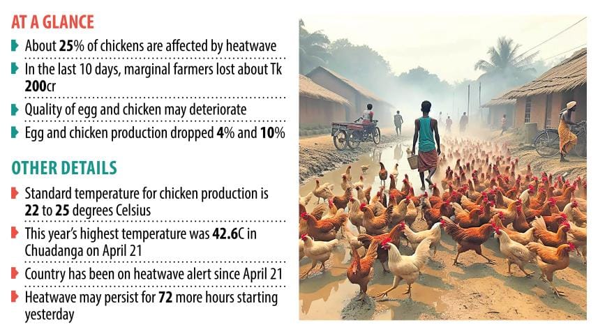 Heatwave impact on poultry farming