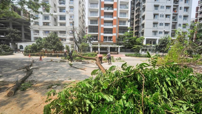Felling trees, rising temperatures: Dhaka's environmental wake-up call