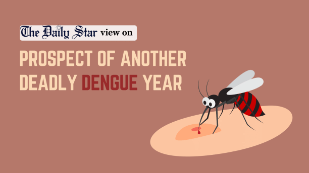 prospect of another deadly dengue year in 2024