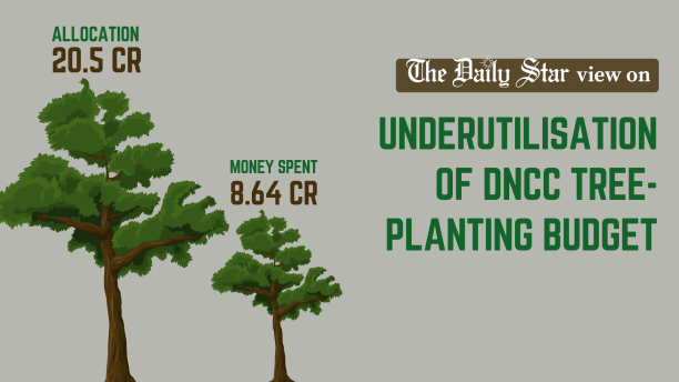 underutilisation_of_dncc_tree_planting_budget.png