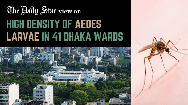 high density of aedes larvae in 41 dhaka wards