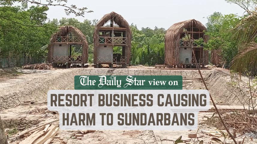 Resort business in Sundarbans