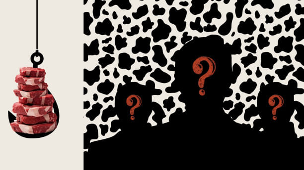 A monologue on the beasts among us