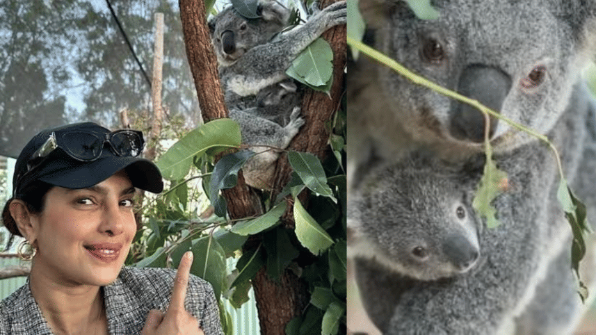 Priyanka Chopra meets her Koala namesake in Australia