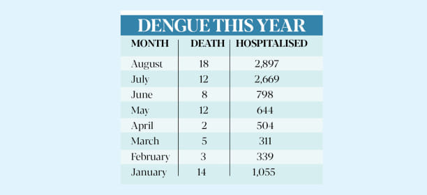 dengue-this-year.jpg