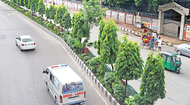 Dhaka’s road dividers