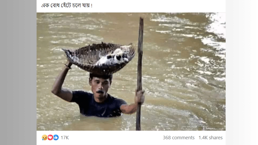 Fake image man with kittens