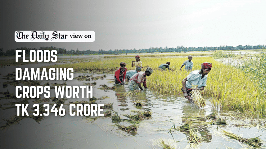 floods damage crops worth 3.346 crore