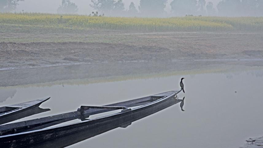 inspiration from Akhtaruzzaman Elias