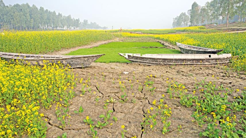  role of literature in social movements