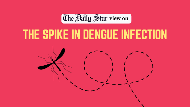Spike in dengue infection.png