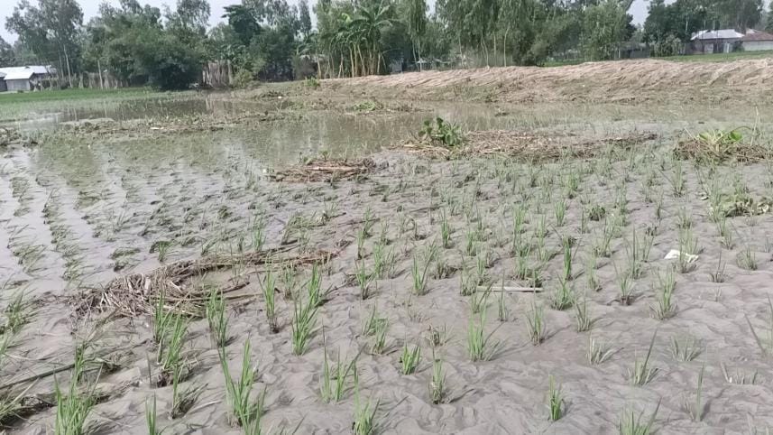 lalmonirhat_flood_sand01_02102024_10e6_dil.jpg