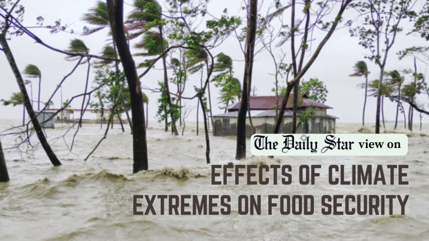 effects of climate extremes on food security
