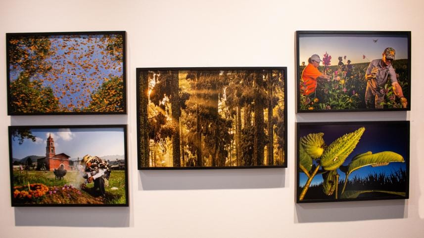 world_press_photo_exhibition_2024_6.1.jpg