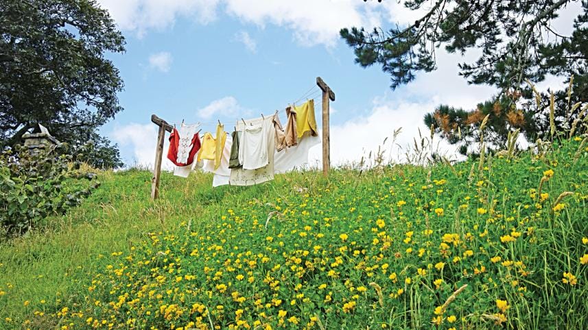 beautiful-shot-newly-washed-clothes.jpg