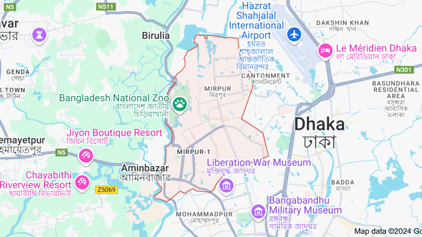 stray bullet kills woman in Mirpur