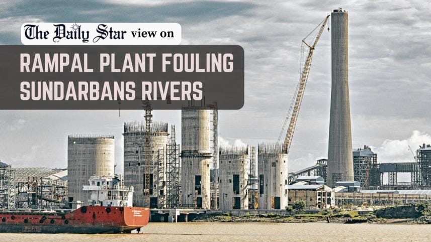 Sundarbans must be protected at all costs