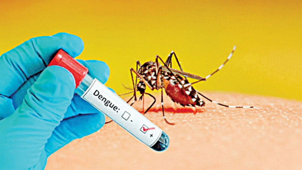 Dengue claims 9 more lives, 1,214 hospitalised in 24 hours