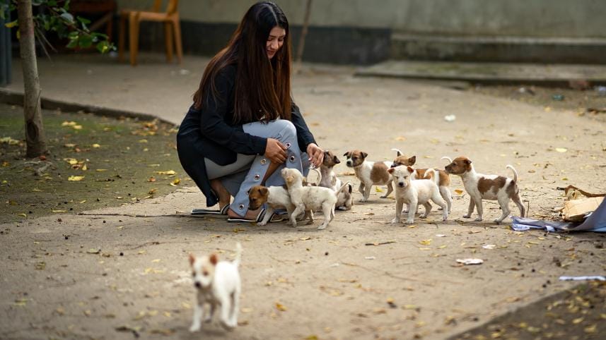 How to keep stray dogs and cats warm this winter 
