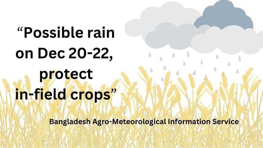possible_rain_on_dec_20-22_protect_in-field_crops.jpg