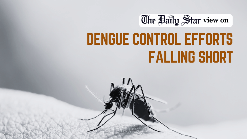 dengue control efforts falling short