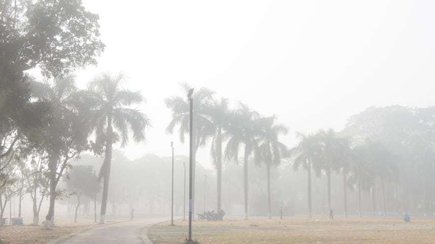 Dust, mosquitoes, dry skin: Dhaka’s real winter dilemmas