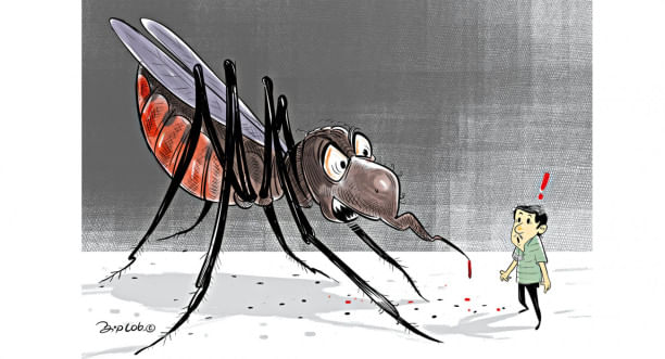 Mosquito problem in Dhaka