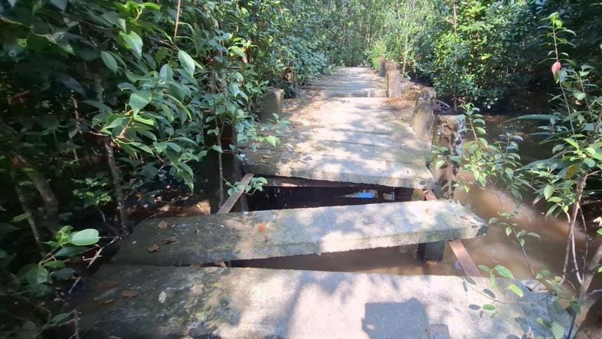 Tengragiri Ecopark lies in neglect