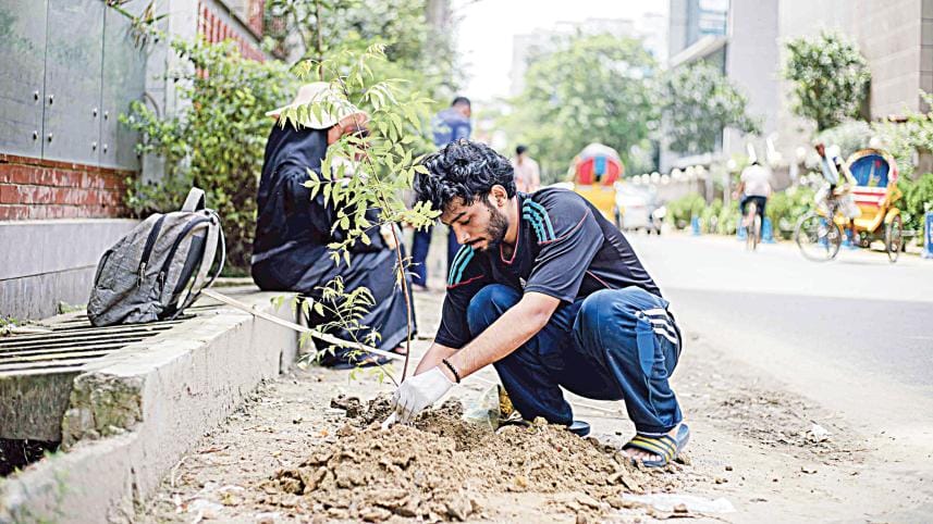 tree-plantation-iub.jpg