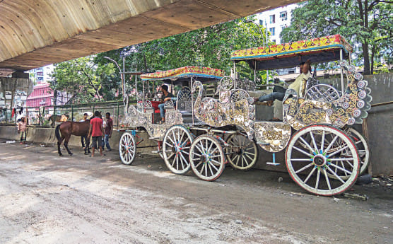Old Dhaka horse-drawn carriages