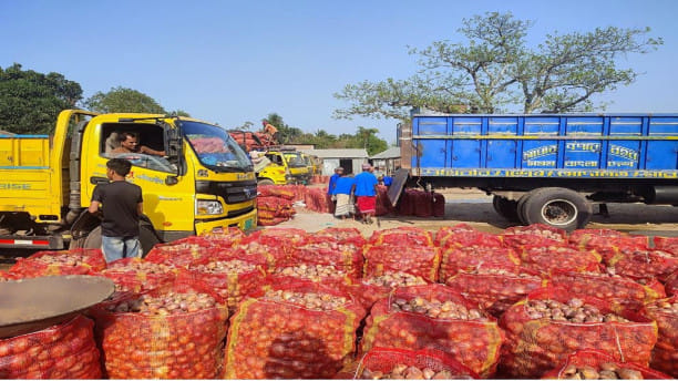 onion farmers struggling with low prices