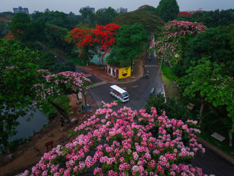Photo of Jahangirnagar University 1.jpg