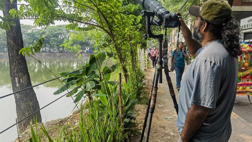 Dhaka's birds are disappearing — should we be worried?