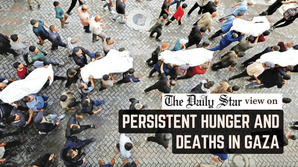 persistent hunger and deaths in gaza
