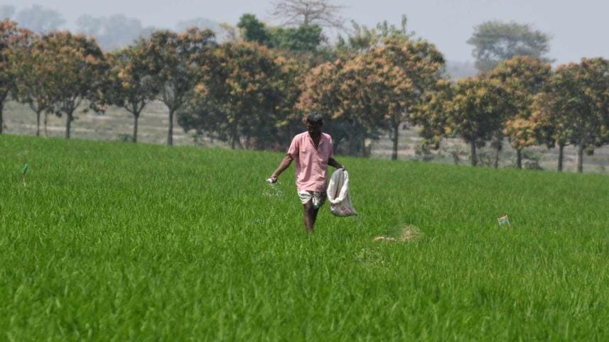 nano urea use in Bangladesh's agriculture