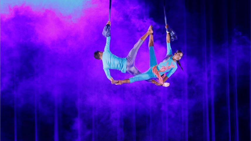 bangladesh shilpakala academy.png