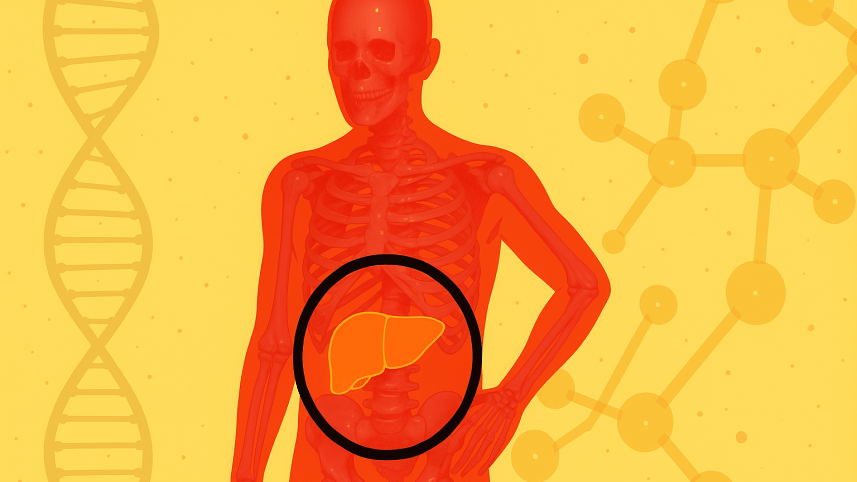 How to reverse fatty liver naturally: Expert-recommended diet tips