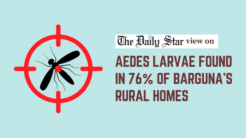 Aedes mosquito larvae detected in 76% of barguna’s rural homes