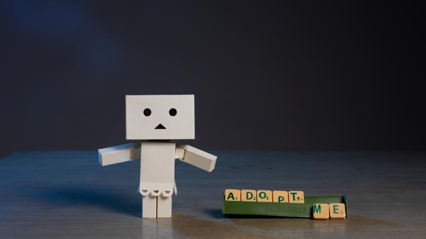 Ready to adopt a child? Understand Bangladesh’s legal and emotional journey