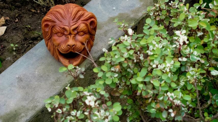 Jazz up your garden this summer with these simple tricks!